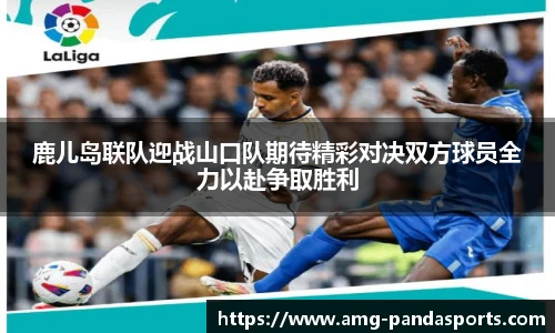 熊猫体育官方入口