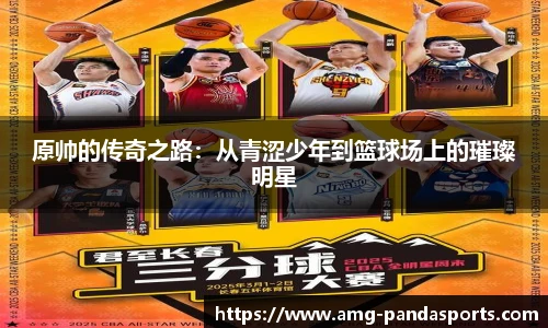 熊猫体育登录入口