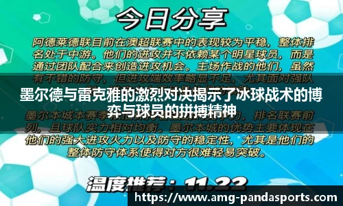 熊猫体育官网