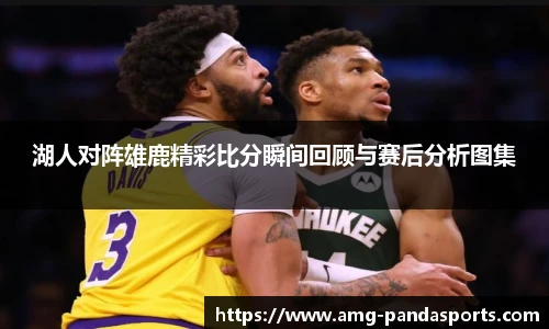 熊猫体育官方入口