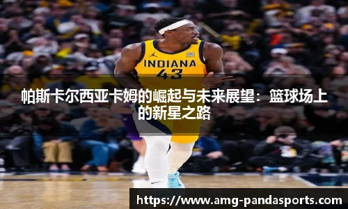 熊猫体育官方入口